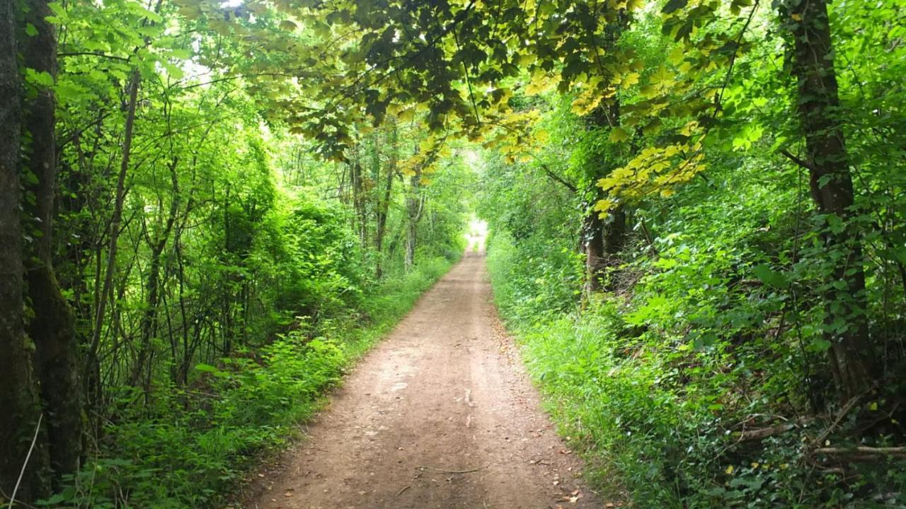 Le Studio Pont-à-Mousson Zewnętrze zdjęcie